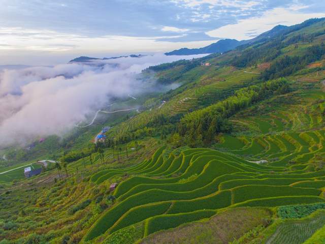 山背梯田