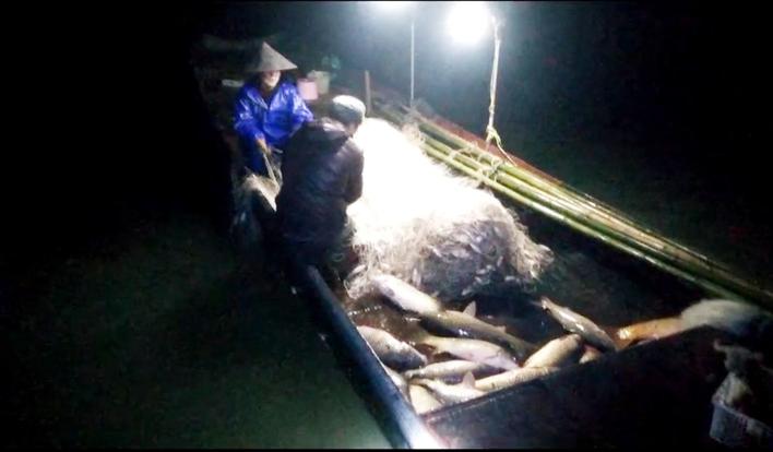 常德5渔民来岳趁夜非法捕捞目前已被依法立案查处