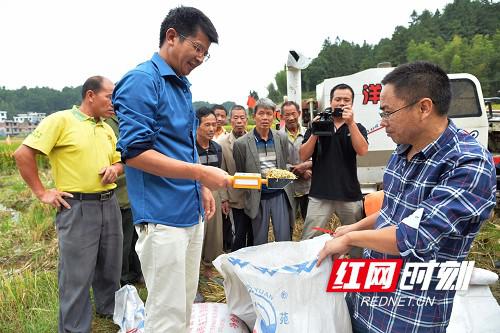 测试稻谷水份。