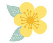 @湖南人 速来围观！手把手教你解锁电子驾驶证领用方式