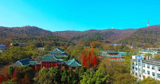 《岳麓山》——卓新民
