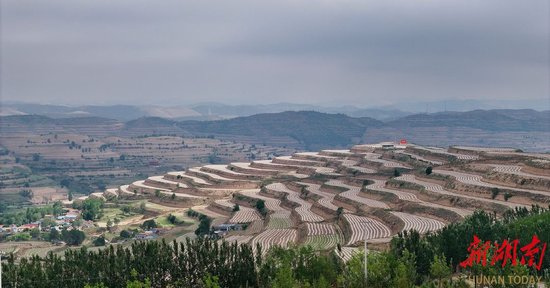 6月5日，宁夏回族自治区固原市西吉县吉强镇龙王坝村梯田。本版照片均由湖南日报全媒体记者 陈萌 摄