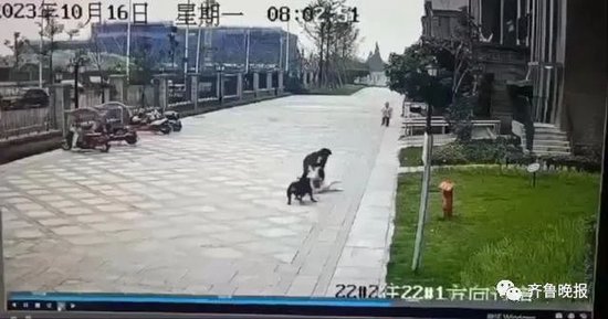 监控视频显示,黑色犬只对2岁多的唐某展开攻击。监控视频截图
