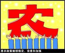 “三农”问题