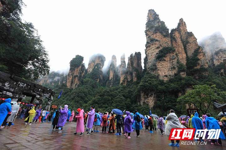 游人在武陵源景区游览。吴勇兵 摄