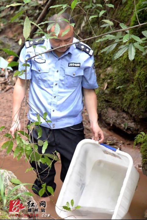 民警将娃娃鱼带至深山老林进行放生。