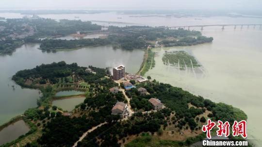 违建依白沙长河岸线而建，周边环境优美　廖文　摄