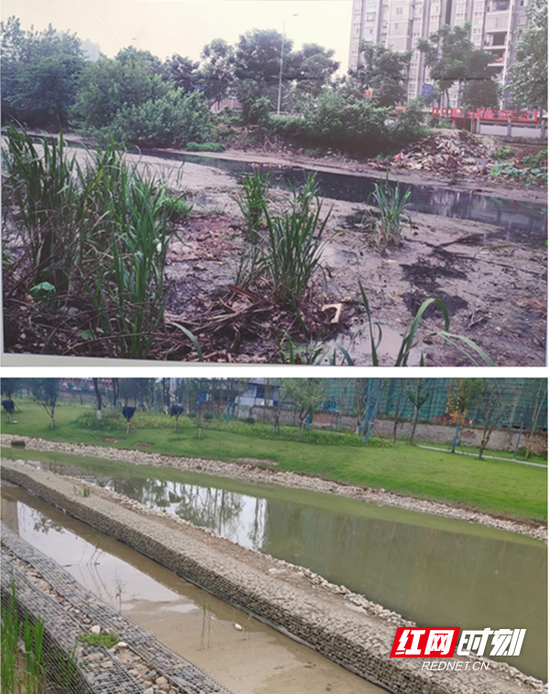 常德环保志愿者和监督员考察江北城区水系整治工作