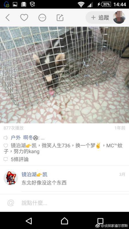 何某快手号发布的野外捕猎“战果”。