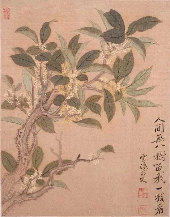 清·恽寿平《花卉图册》第二帧