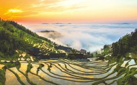 娄底新化县的紫鹊界梯田景区。图/人民视觉