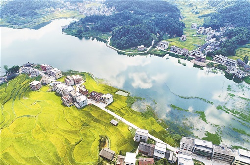8月28日,新邵县龙溪铺镇卓笔村,碧绿的库水、葱郁的植被、金黄的田野构成了一幅秀美的生态画卷。 湖南日报记者 李健 摄