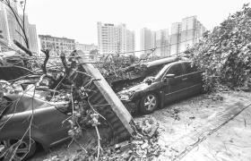 6月10日，长沙阳光在线小区旁，倒下的墙砸坏几辆小车。图/记者杨旭