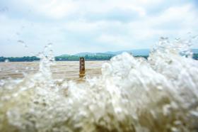 5月7日,湘江长沙段文津渡口,江水即将淹没一根水位监测标杆。图/潇湘晨报记者 杨旭