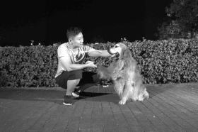 8月23日，长沙，张骁带着图图在潇湘风光带游玩。图/记者谢长贵