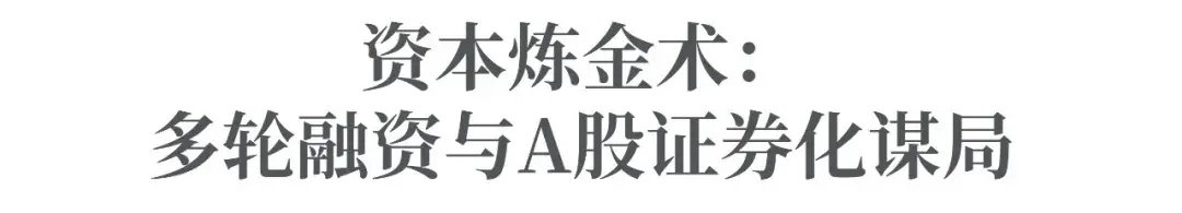行云王维的跨境野心:接盘“有棵树”反转困境,联手国资剑指稳定币新基建