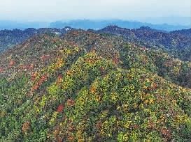 八大公山。湖南日报全媒体记者 童迪 摄