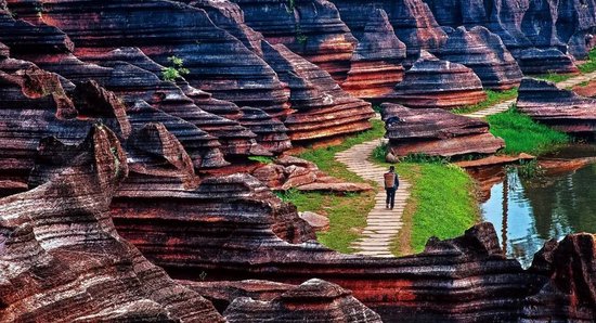 奥陶系红色碳酸盐岩石林——红石林。图/湘西世界地质公园
