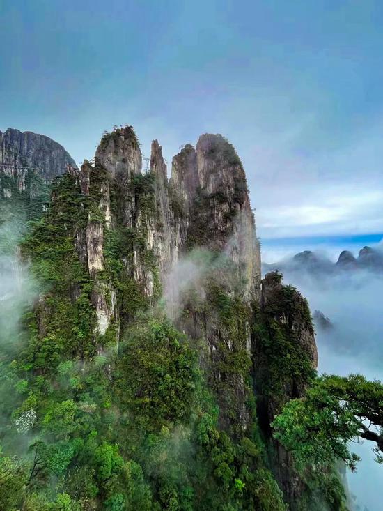 摄影:寒蝉