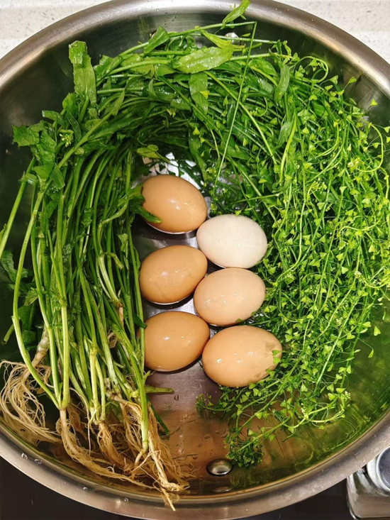 图/小红书@Zhang.G