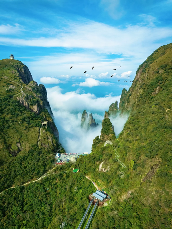 郴州莽山国家森林公园。图/小红书@小飞鸽fly