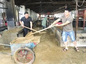 6 月 25 日，怀化洪江市雪峰镇政府干部职工取消端午休假，与群众一起开展灾后恢复工作，在集镇农贸市场清理淤泥，疏通水渠。 图 / 通讯员尹智超