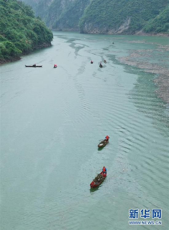 9月6日，在湖南省张家界市永定区茅岩河上，当地村民在清理漂浮物（无人机照片）。新华社发（吴勇兵 摄）