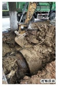 老树缠身加自身欠安 岳阳巴陵东路供水主管崩溃了