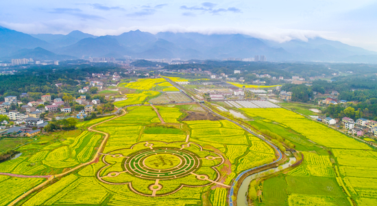 国家级田园综合体——红星村油菜花海.成捷/摄