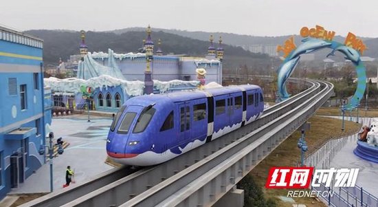 长沙惊现鲸鲨云巴,新年你最想和谁一起坐?