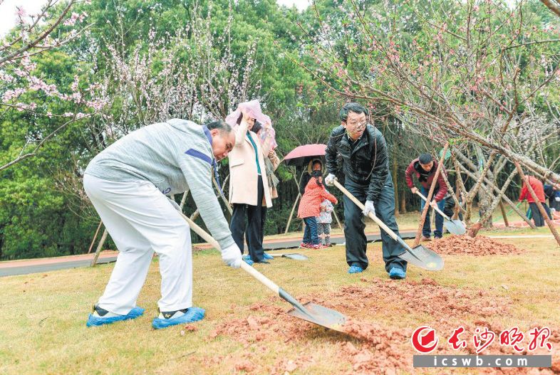 昨日，400多名市民一起为仙姑岭公园植树添绿。均为长沙晚报记者 陈焕明 通讯员 周树均 摄影报道