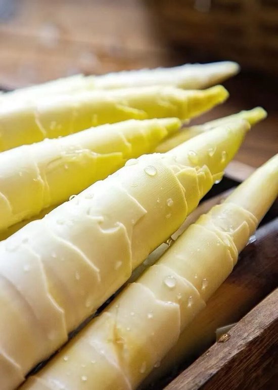 图/小红书@准喜欢