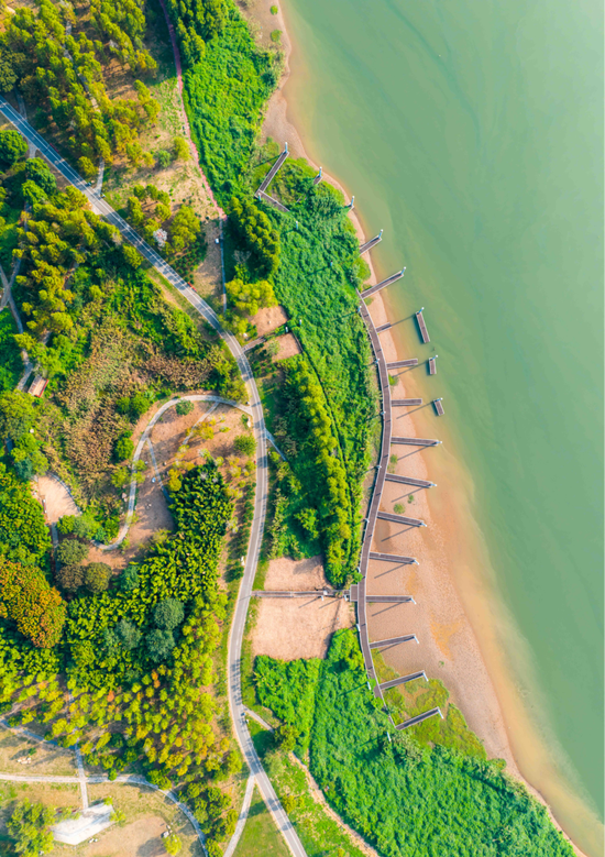 巴溪洲的洲滩。图/长沙自然资源和规划局