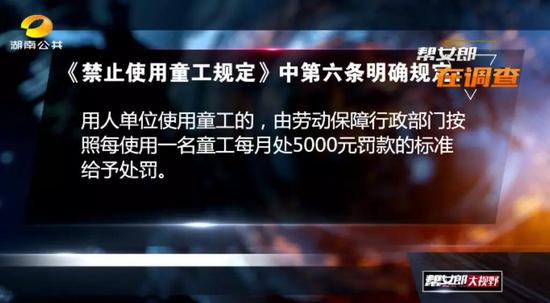 扫把清洗绞肉机!死鱼臭虾接着用!剩菜回收!