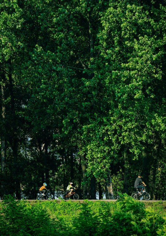 兴马洲。图/文旅长沙