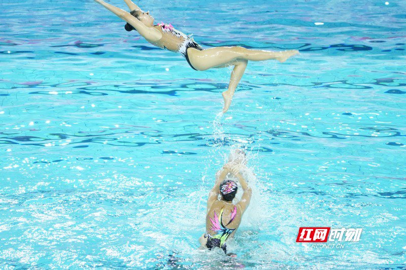 第十五届全运会花样游泳集体自由比赛在江门体育中心游泳馆进行。陈杰 摄