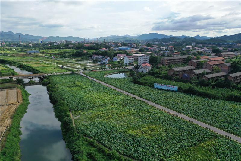 （图为娄底杉山镇杉山村退耕还林还湿后）