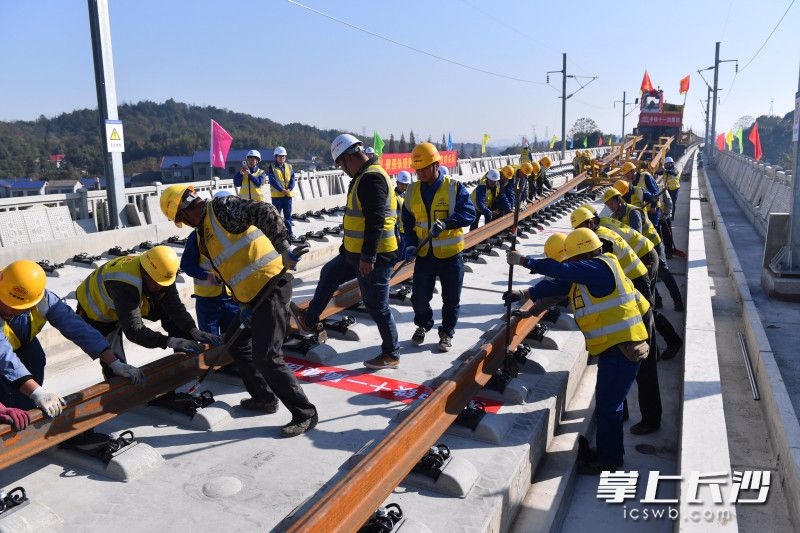 图片均为长沙晚报全媒体记者 邹麟 摄