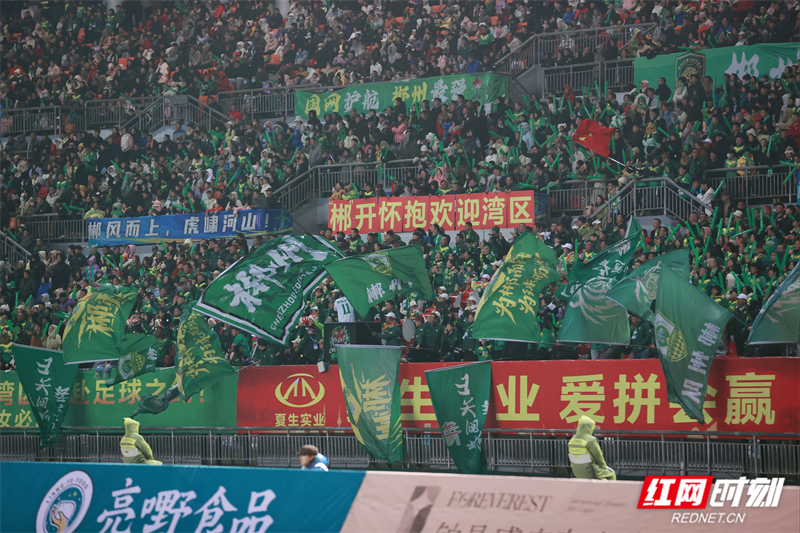 “郴开怀抱 欢迎湾区”在灯光下格外醒目。（陈哲君 摄）