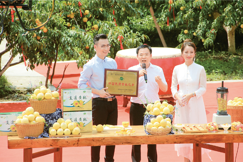 图为2017年7月28日，黄诗燕为炎陵黄桃直播带货。湖南省委宣传部供图