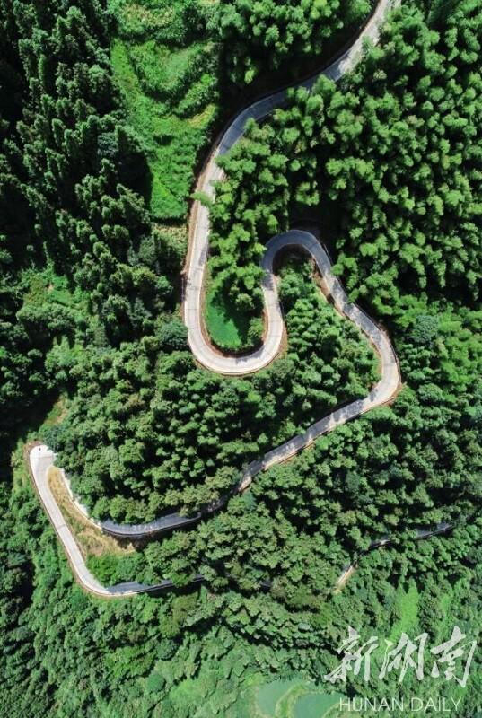 (8月1日,溆浦县统溪河镇枫林村,山间的通村公路。 湖南日报·新湖南客户端记者 童迪 摄)