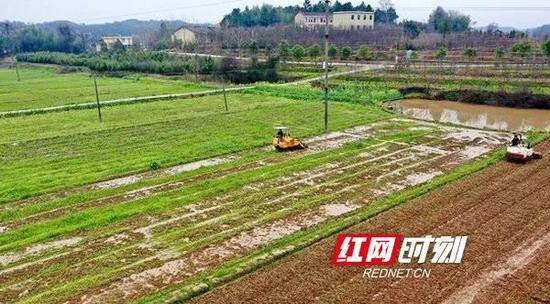  衡南县硫市镇贞元村的农田里，旋耕机来回穿梭。