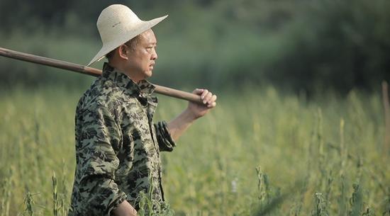 沈昌健在油菜示范基地翻耕土地，准备9月大面积播种油菜“沈杂油1号”。王明睿 罗蜀成 摄