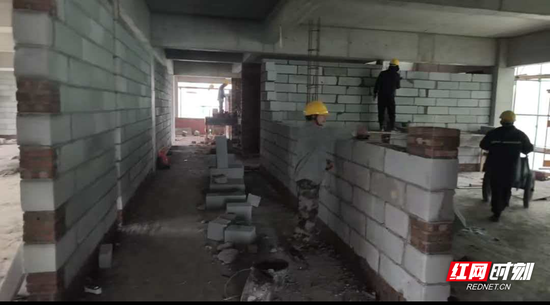 农益品油茶产业基地项目现场