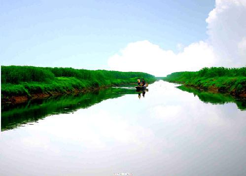 西洞庭湖湿地。