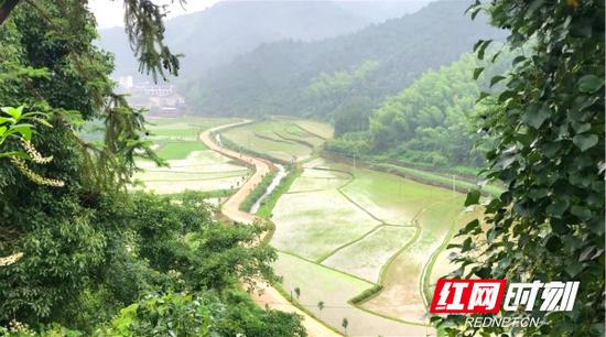 蜿蜒的村级公路,通到了每家每户。