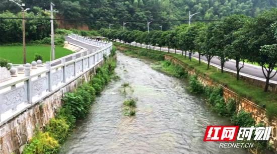 环洞村的环洞河,水清岸绿。