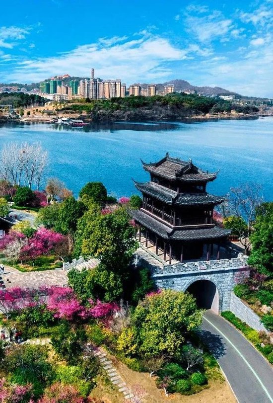 限时“梅”景!岳阳赏梅攻略来了