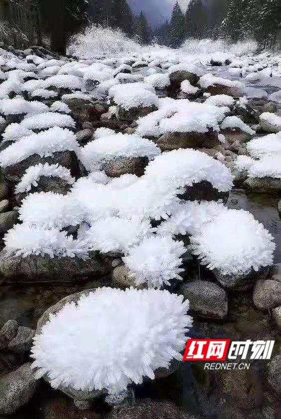 东山峰雪景。