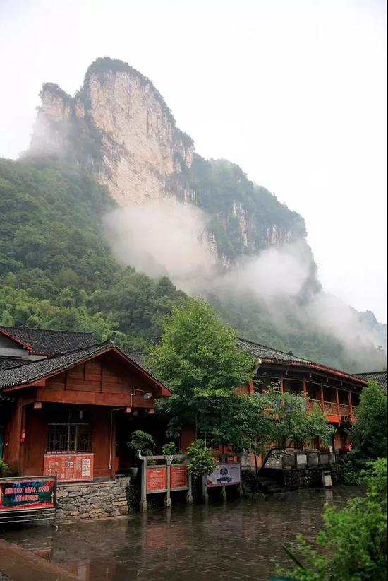 ©图虫